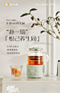 小熊炖煮养生壶家用多功能恒温全自动煮茶壶燕窝办公室围炉煮茶器-tmall.com天猫