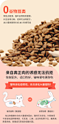 宠熙无谷全价猫粮成猫幼猫饭高肉含量42%蛋白营养全阶段1.5kg装-tmall.com天猫