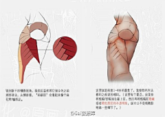 下班了啦采集到素材】--裸模