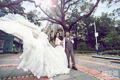 婚礼猫采集到广州沙面婚纱摄影