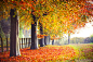 Photograph Autumn Colours by Rosanna L&#x;27Estrange-Bell on 500px