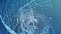 Water Drops projects | Behance 上的照片、视频、徽标、插图和品牌
