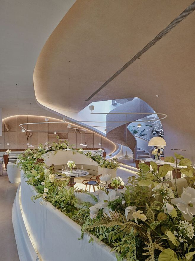 Tomacado (Shanghai I...