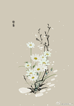 某知采集到草木