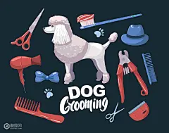 宠物狗狗刷牙洗澡插画-插画-插画图形素材-酷图网