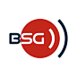 BSG网站logo