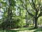 爱沙尼亚在森林之中的小道景观