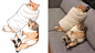GENTLECAT twi:gentleeeeeeecat ​​​​