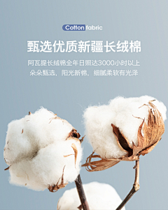 挚爱红玫瑰公主采集到cotton【棉花-柔软】