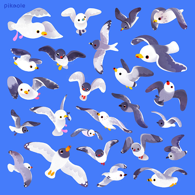 Gull