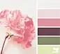 petaled hues