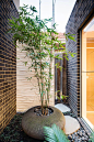 墨尔本Mornington精致的现代庭院 by Apex Landscapes & Pools-mooool设计