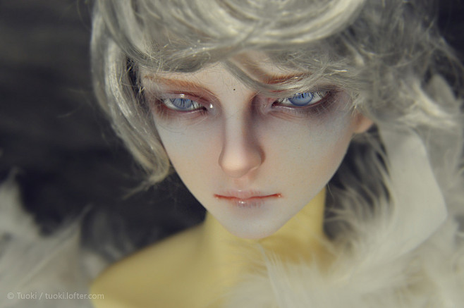 不修仙乛_乛从四木simu转采于2017-01-23 15:53:15bjd|lofter(乐乎)