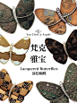 审美提升|蝴蝶主题珠宝分享（下） - 小红书