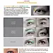 ArtStation - the Epicanthic Fold (monolid eye), Anatomy For Sculptors