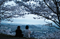 四季 | iwakura shiori