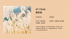 羽墨啊采集到P-配色