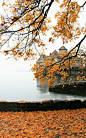 西庸城堡位于瑞士边境城市蒙特勒附近的日内瓦湖畔，该湖也是瑞士和法国的分界线，大约三分之一属于法国，三分之二属于瑞士。日内瓦湖是瑞士人对这个湖的称呼，对岸的法国人则称它为莱蒙湖（不是某些错误资料里说的莱茵湖）从古罗马时代起，这里就是往来于意大利和法国的交通要道。由于历史过于久远，人们已经无法准确得知西庸城堡的起源，目前发现的有关西庸城堡的最早文字记录是1150年。建筑学家认为，城堡的底部基石是在11世纪修筑完成的。