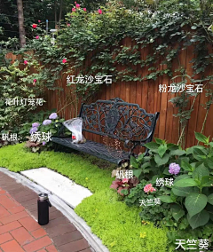 稀有紫苏采集到材料与植物配置