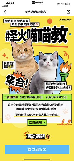 做我的猫呗采集到猫粮管家