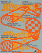 Noah Baker on poster design and how he avoids getting “stuck in aesthetic holes”