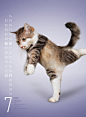 Amazon.co.jp: Yoga Cats 2014 : 文房具・オフィス用品