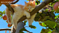 笑死！猫崽汁边爬树边睡觉！_哔哩哔哩_bilibili