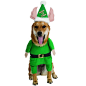 Rubies Santa's Lil Helper Pet Costume, Adult Unisex, Size: Large, Green