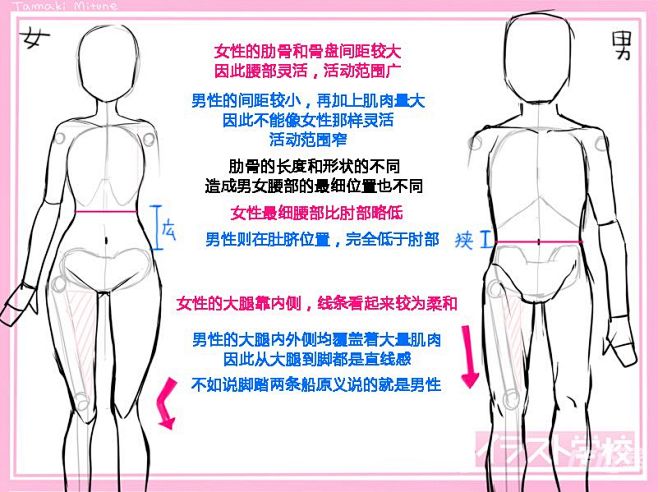 男女画法区别教程 - 优动漫 动漫创作支...