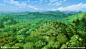 俯视森林写实风格动画场景设计图