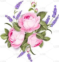 玫瑰,紫色,花环,春天,熏衣草,请柬,婚礼,自然美,花,复古