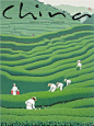 东方意境 | 茶山行 - 小红书