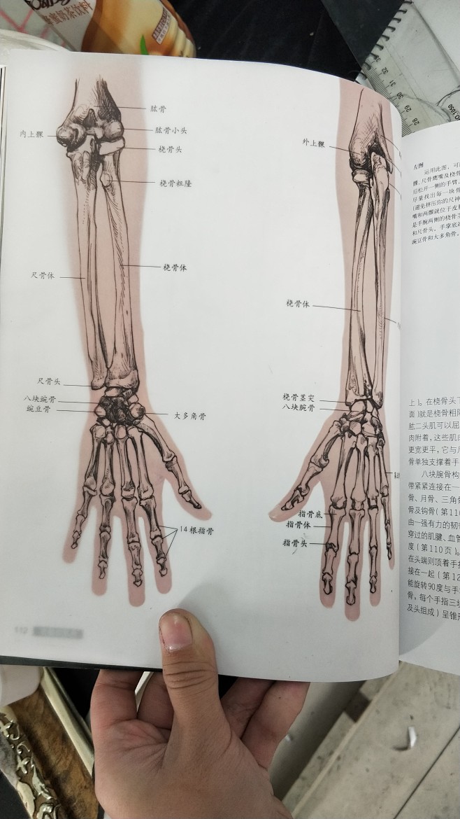 来自分享