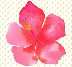 # 夏日##夏天#元素火烈鸟花朵#清新# #PNG#
#免抠#图片 #PSD后期# LOGO海报设计素材
创意素材 美图秀秀可用 #设计素材# 素材模板
芒果 菠萝 海星 花瓣  椰子 西瓜 草帽
相机 植物 素材