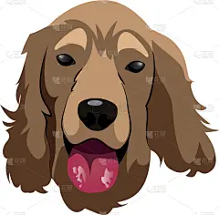 白色背景,分离着色,可爱的,白色,宠物,自然,纯种犬,肖像,设计