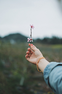 倾婷1004采集到你闻过阳光的味道吗？