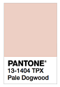 颜色潮流的权威Pantone公布2017春夏9大流行色。 ​​​​