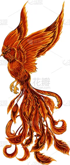 菲尼克斯市,热,野生动物,翅膀,动物,鸟类