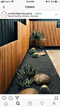 Cacti in gray gravel with smooth boulders at edge of desert garden #gardendesign