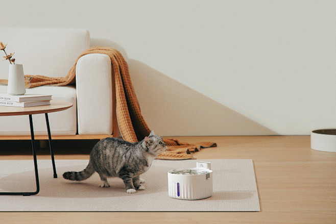 猫家居6图片_宠物用品图片素材-花瓣网