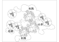 姬木香采集到植物造景