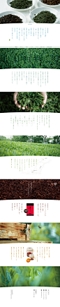 瑞芳園　｜　岐阜県瑞浪市。昔ながらの有機農法でつくる旨いお茶。