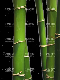 竹子 图片 竹叶 png  手  - 源文件下载【酷图网】竹子,图片,竹叶,png,手绘,竹子翠竹,绿竹,竹枝,竹报平安,中国风,竹,竹子绘画,竹子矢量图,竹子墙贴,挂画插画,竹子手绘,竹林,竹笋,卡通竹笋,插画,植物,意境竹枝,竹影清风,竹子背景,手绘竹,绿色竹子,春天,插画竹子,手绘绿植,绿色植物,富贵竹,竹子素材,竹素材,
