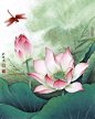 2012-荷花红蜻蜓1