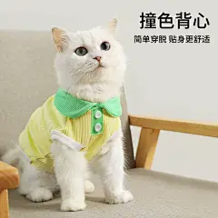 日韩风春夏季马卡龙撞色翻领休闲T恤猫咪薄款宠物泰迪狗衣服 - 阿里巴巴