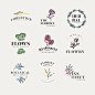 Natural business logo set in minimal style Free Vector