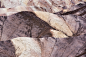 Shades of Death Valley