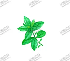 手绘彩色蔬菜免扣素材图片 【酷图网】罗勒,青菜插画,蔬菜插画,手绘蔬菜,手绘青菜,健康饮食,果蔬,蔬菜,水果,饭菜,绿色蔬菜,食物手绘,小清新,素材,美食,餐饮,手绘,食材,插画,火锅食材,食物,光盘行动,拒绝浪费,光盘,公益,宣传,卡通,PNG,免抠,免抠图,抠图,元素,透明,蔬菜素材,蔬菜沙拉,沙拉,有机蔬菜,天然,健康
