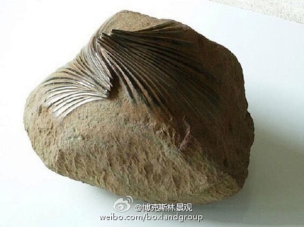 亦刚亦柔---西班牙雕塑家José Ma...