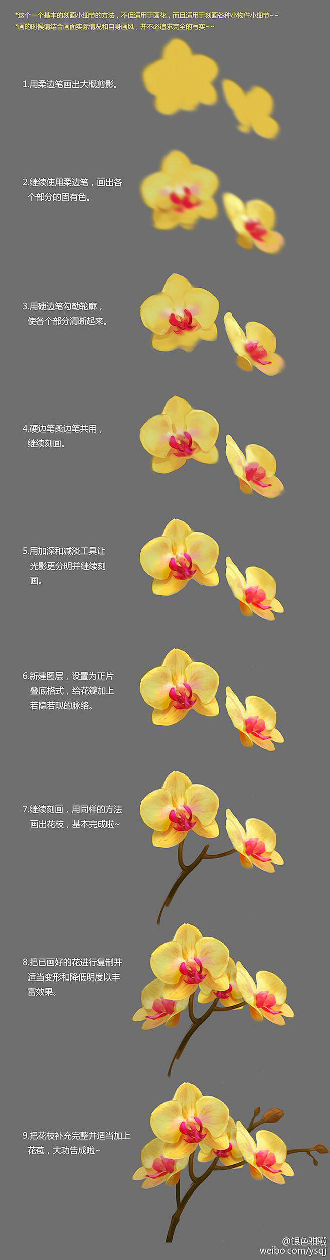 花朵儿花枝绘画教程 板绘 厚涂